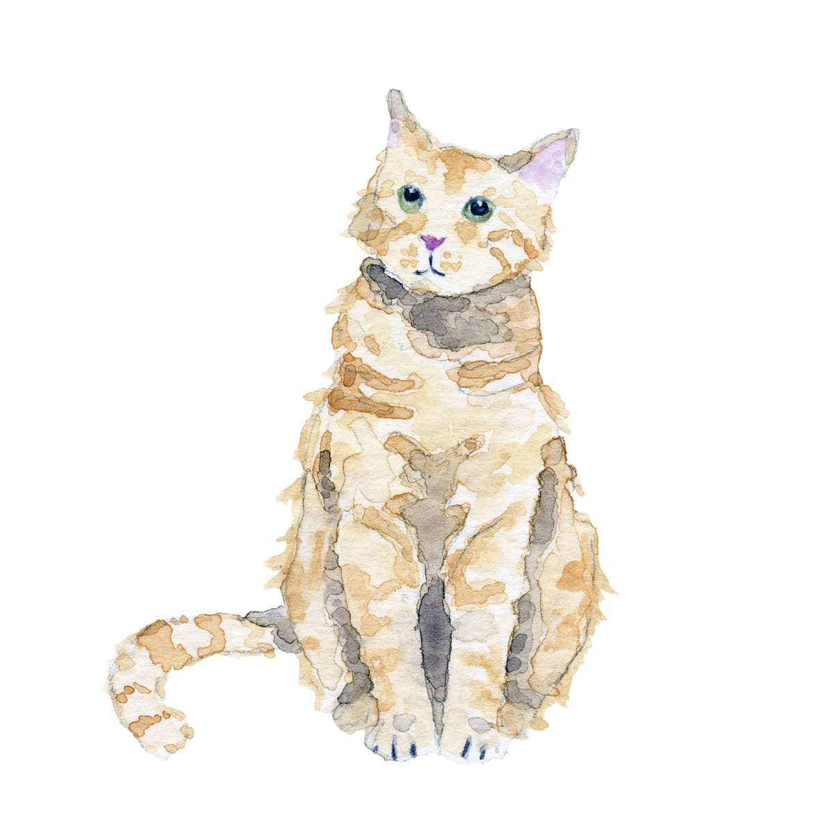 A ginger cat sitting tall in a patch of afternoon sun — a warm farmhouse watercolor for reading nooks and cat-lover gift walls.