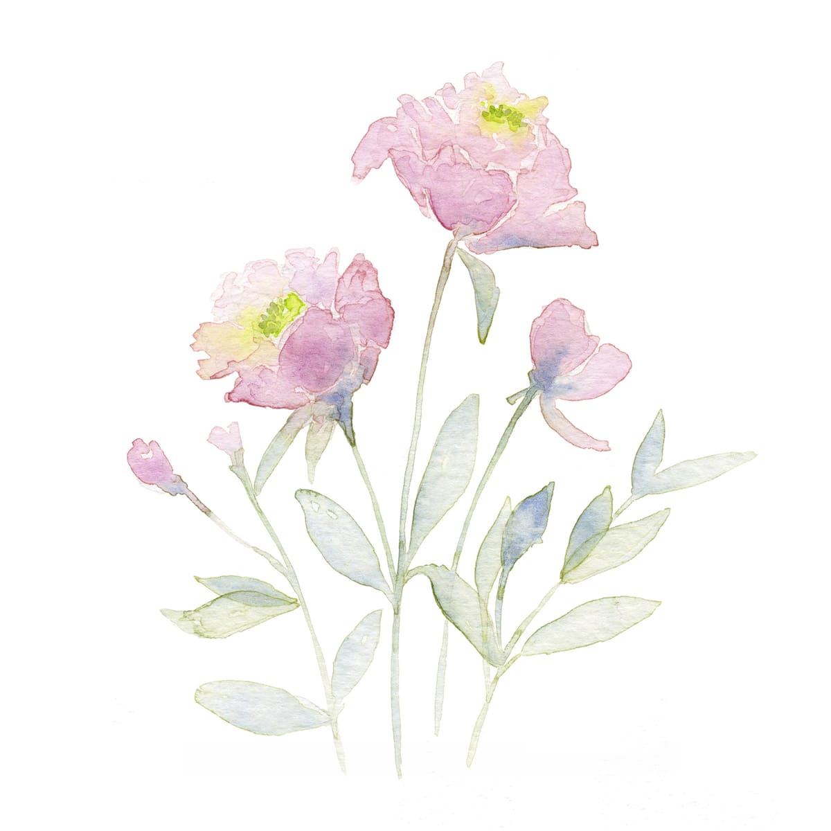 Two full pink peonies in soft morning light — a romantic floral watercolor print for the bedroom or a reading nook.