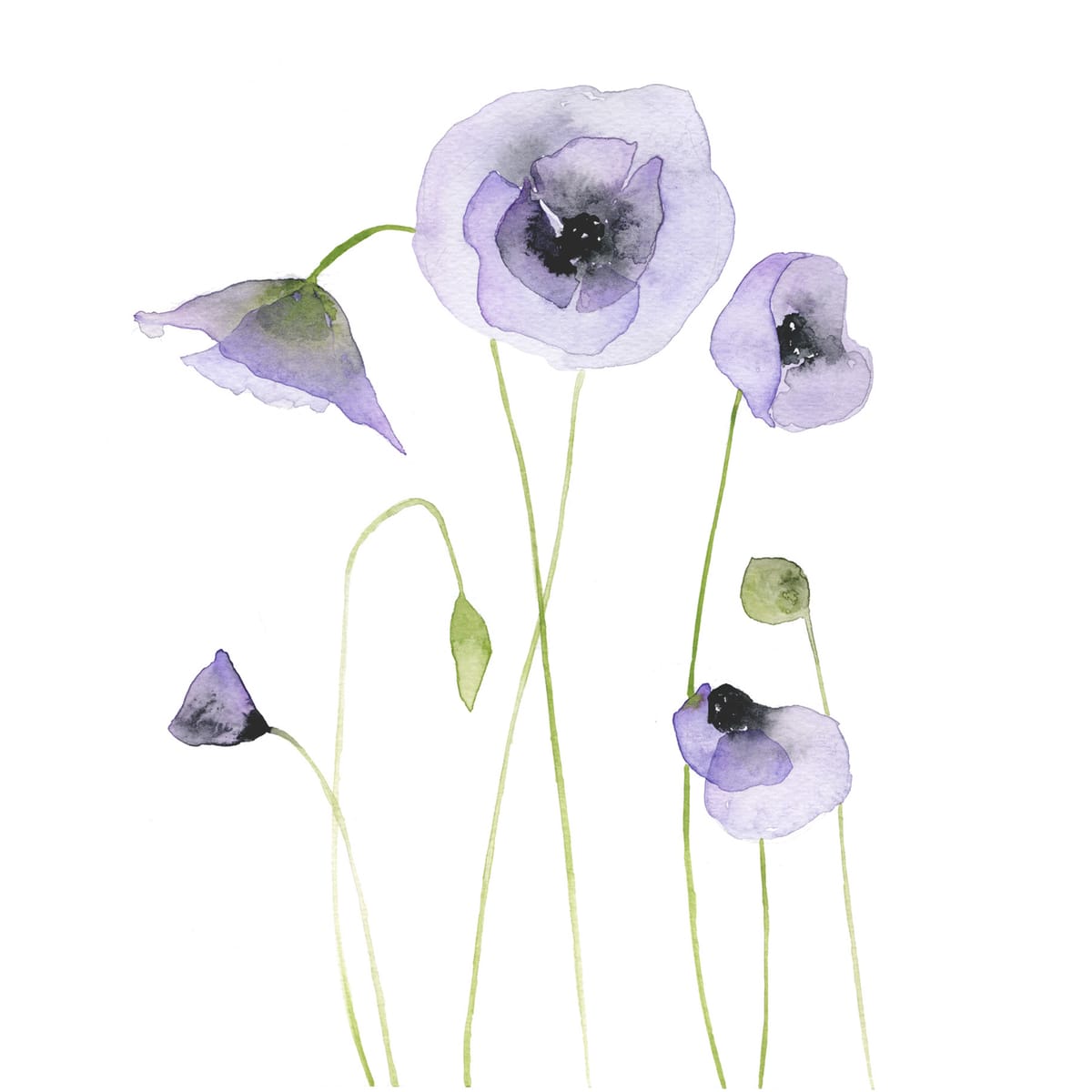 Pale purple poppies on slender leaning stems — a soft floral watercolor for vintage-leaning interiors and quiet reading corners.