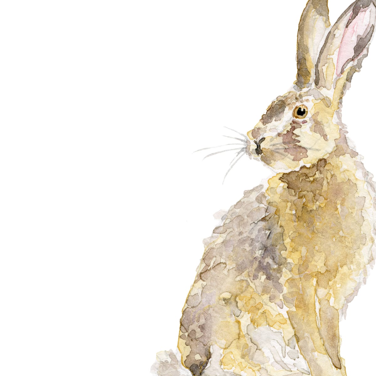 Watercolor nursery print — A rabbit sitting tall with ears tipped to a far sound — a quiet woodland watercolor for nurseries, reading nooks, and cottage bedrooms.