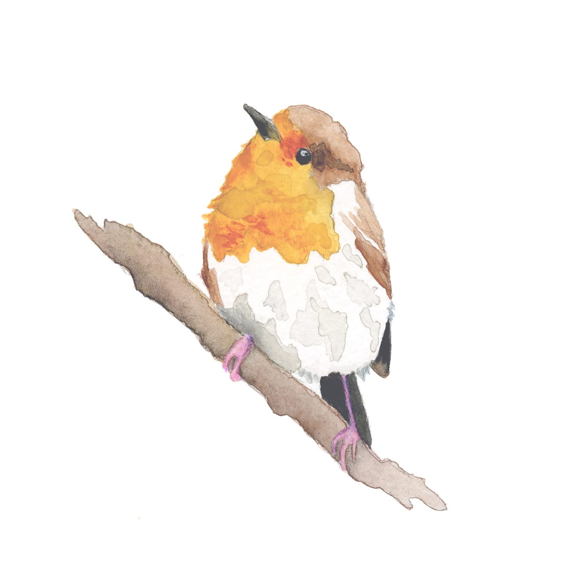 A round robin settling on a bare branch in the cold — a quiet winter bird watercolor for cottagecore homes and gentle nursery walls.