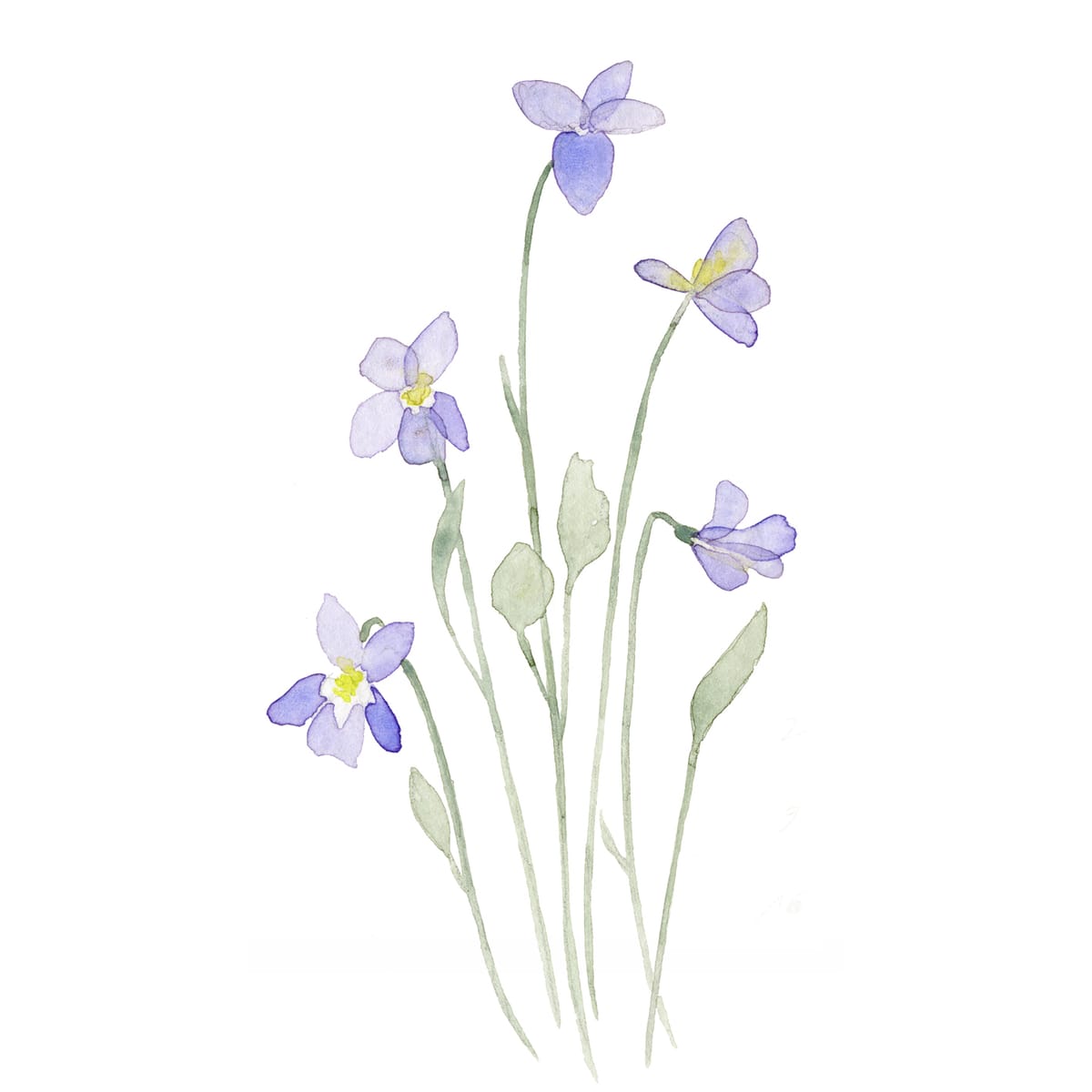 A shy cluster of wild violets in pale lilac and green — a small botanical watercolor for nightstands, nurseries, and quiet shelves.