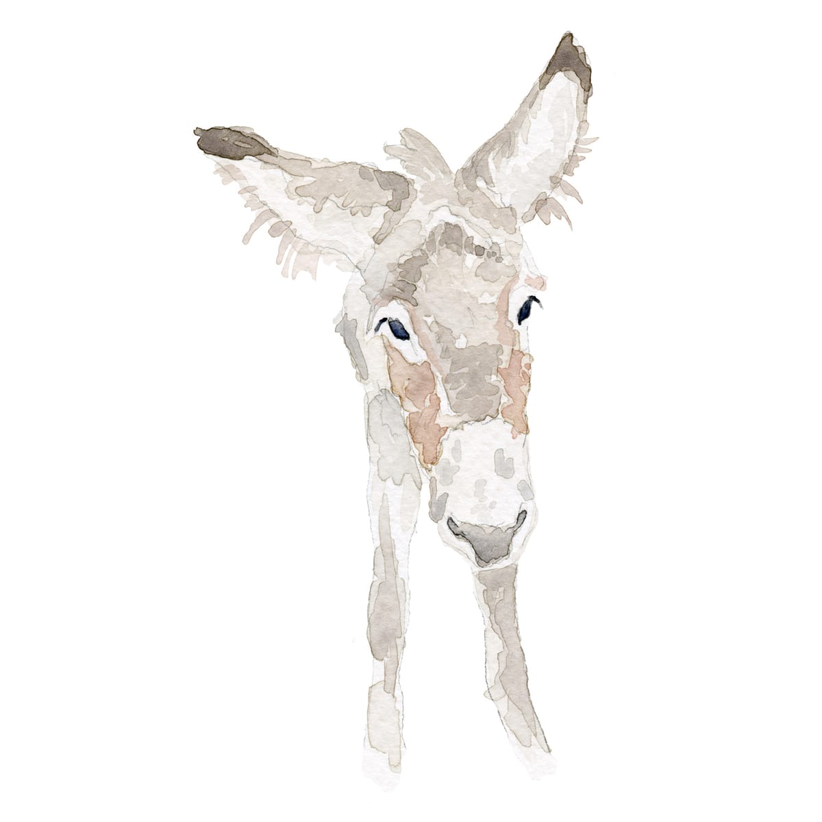 A soft-eared young donkey leaning gently into the page — a tender farm-animal watercolor for nurseries and cottagecore children's rooms.